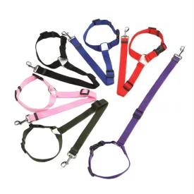 2-in-1 Pet Dog Car Seat Belt Leash