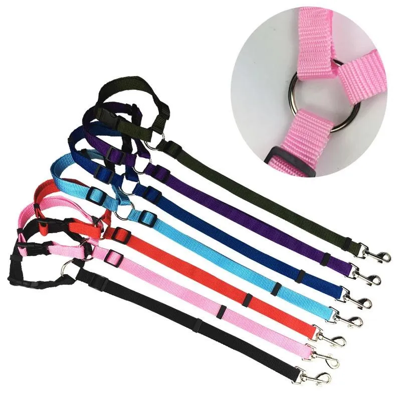 2-in-1 Pet Dog Car Seat Belt Leash