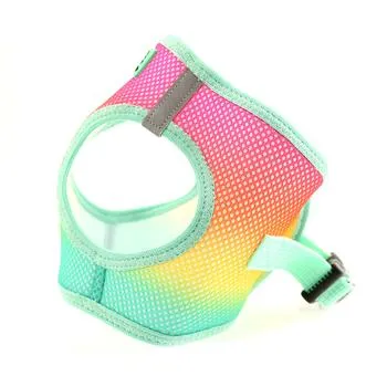 American River Ombre Choke-Free Dog Harness - Beach Party
