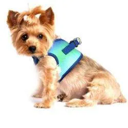 American River Ombre Choke-Free Dog Harness - Northern Lights