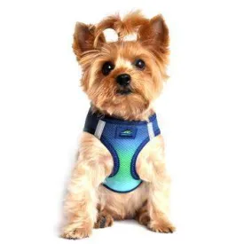 American River Ombre Choke-Free Dog Harness - Northern Lights