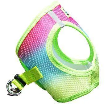 American River Ombre Choke-Free Dog Harness - Rainbow