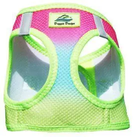 American River Ombre Choke-Free Dog Harness - Rainbow