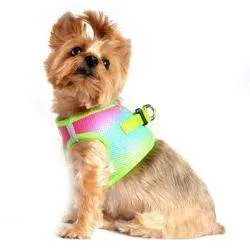 American River Ombre Choke-Free Dog Harness - Rainbow