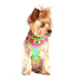 American River Ombre Choke-Free Dog Harness - Rainbow