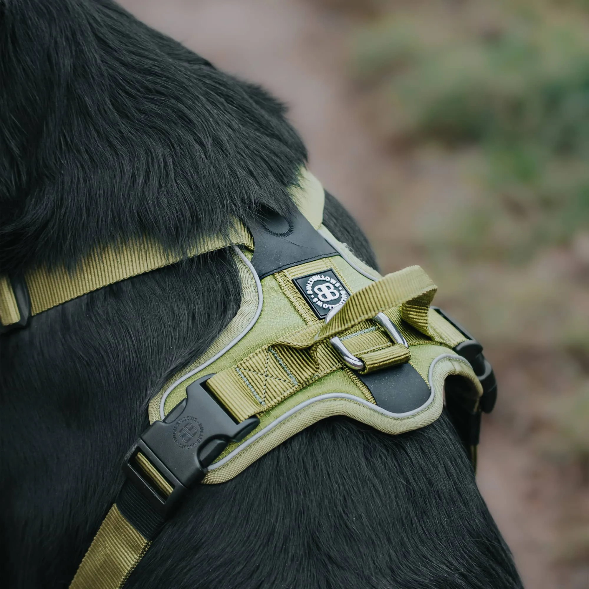 Anti Pull Harness | With Handle & Lighter | Hurricane Harness - Carminerose