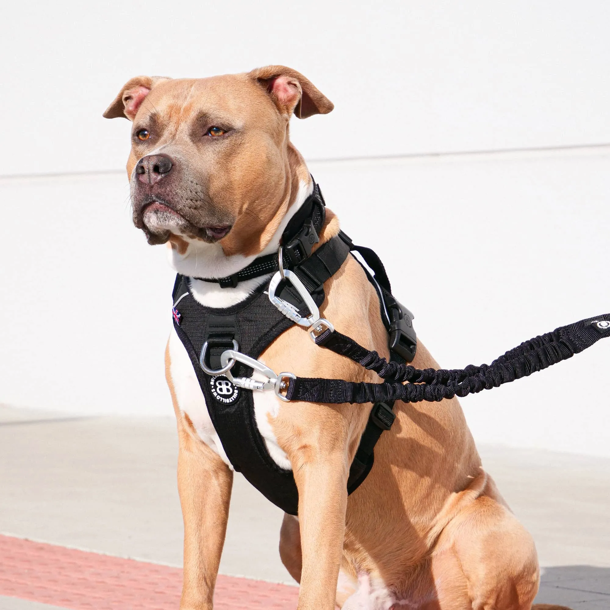 Anti Pull Harness | With Handle & Lighter | Hurricane Harness - Carminerose