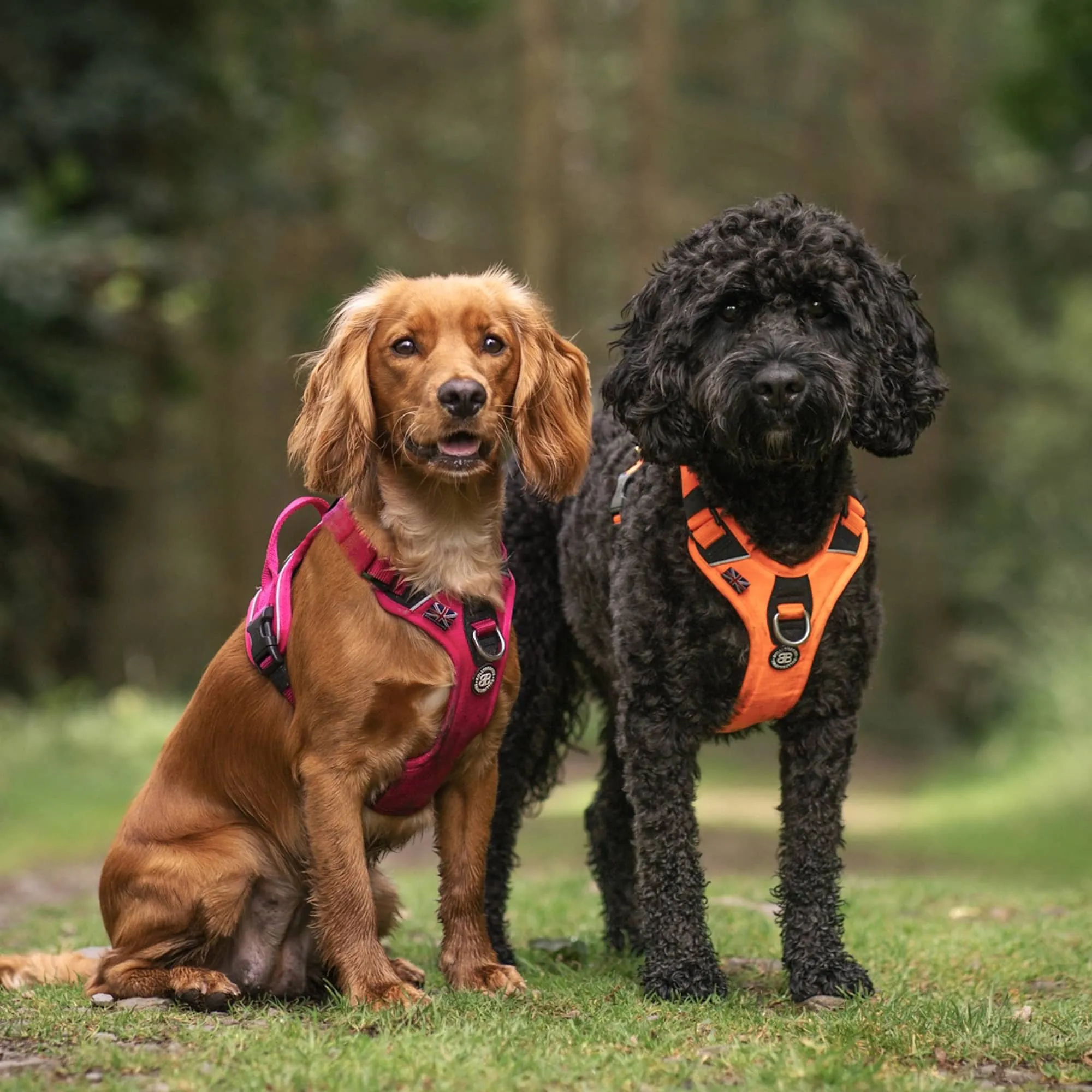 Anti Pull Harness | With Handle & Lighter | Hurricane Harness - Carminerose