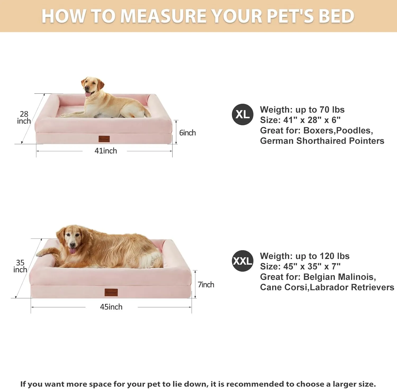 BFPETHOME Dog Beds for Small Dogs, Washable Dog Bed with Sides, Orthopedic Small Sized Soft Mats with Removable Cover & Waterproof Pet Mat for Pet