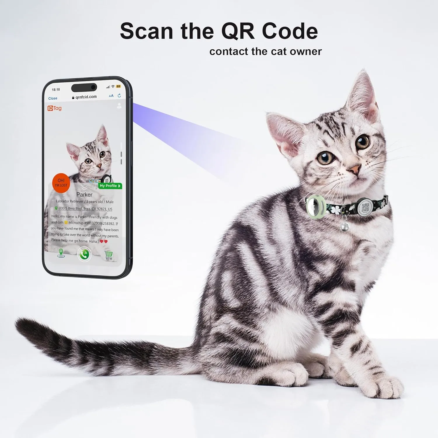 Cat Collar with Airtag Holder, Breakaway Design, Bells, QR Code Tag, Luminous Air Tag Holder,Lightweight & Adjustable (Black)