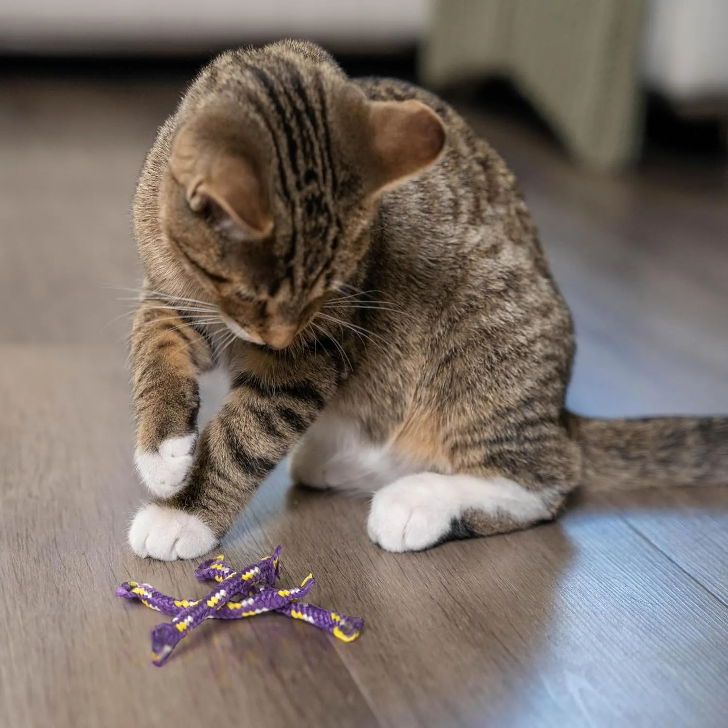 Catstages Nighttime Catnip Rolls Cat Toys - 3 Pack