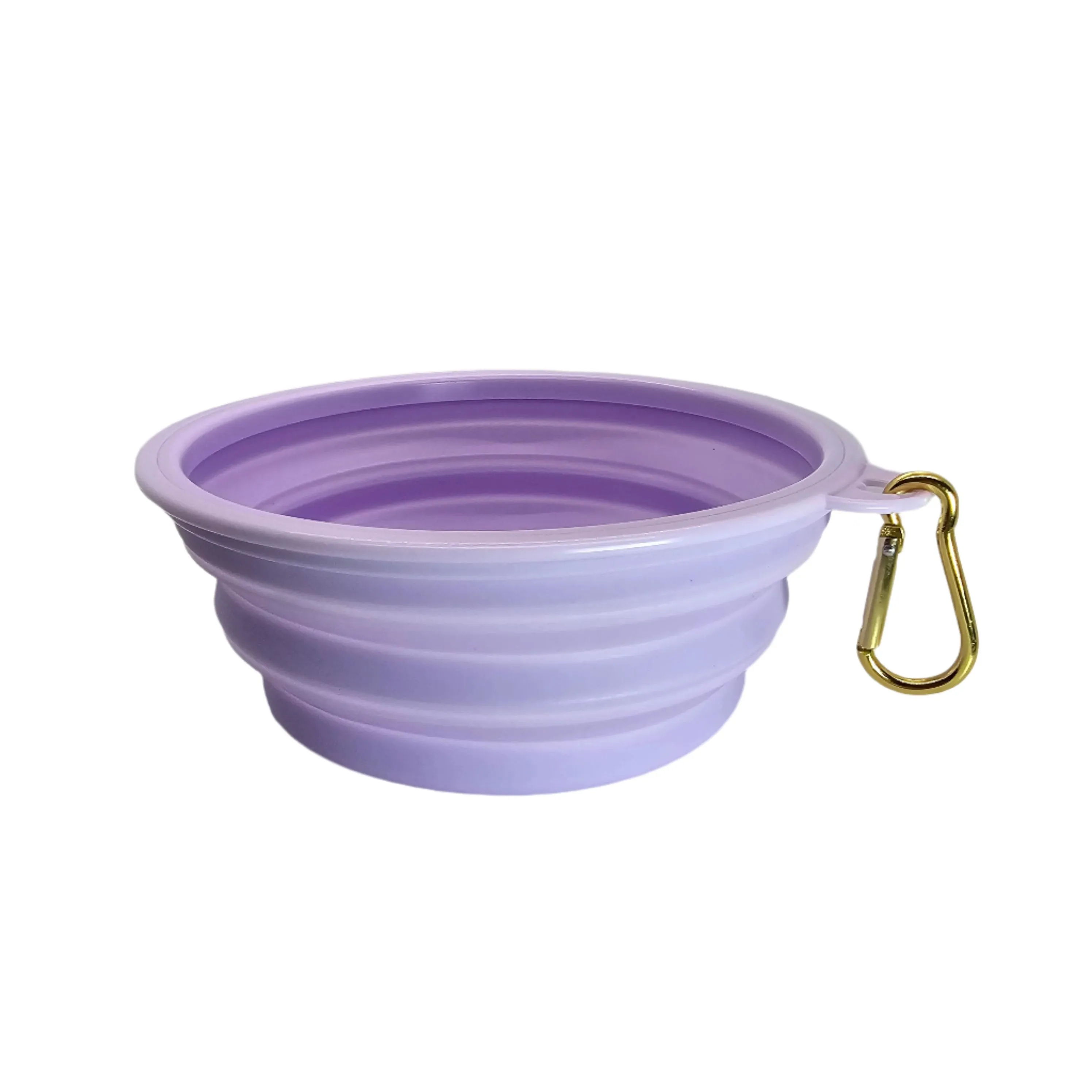 Collapsible Dog Bowl