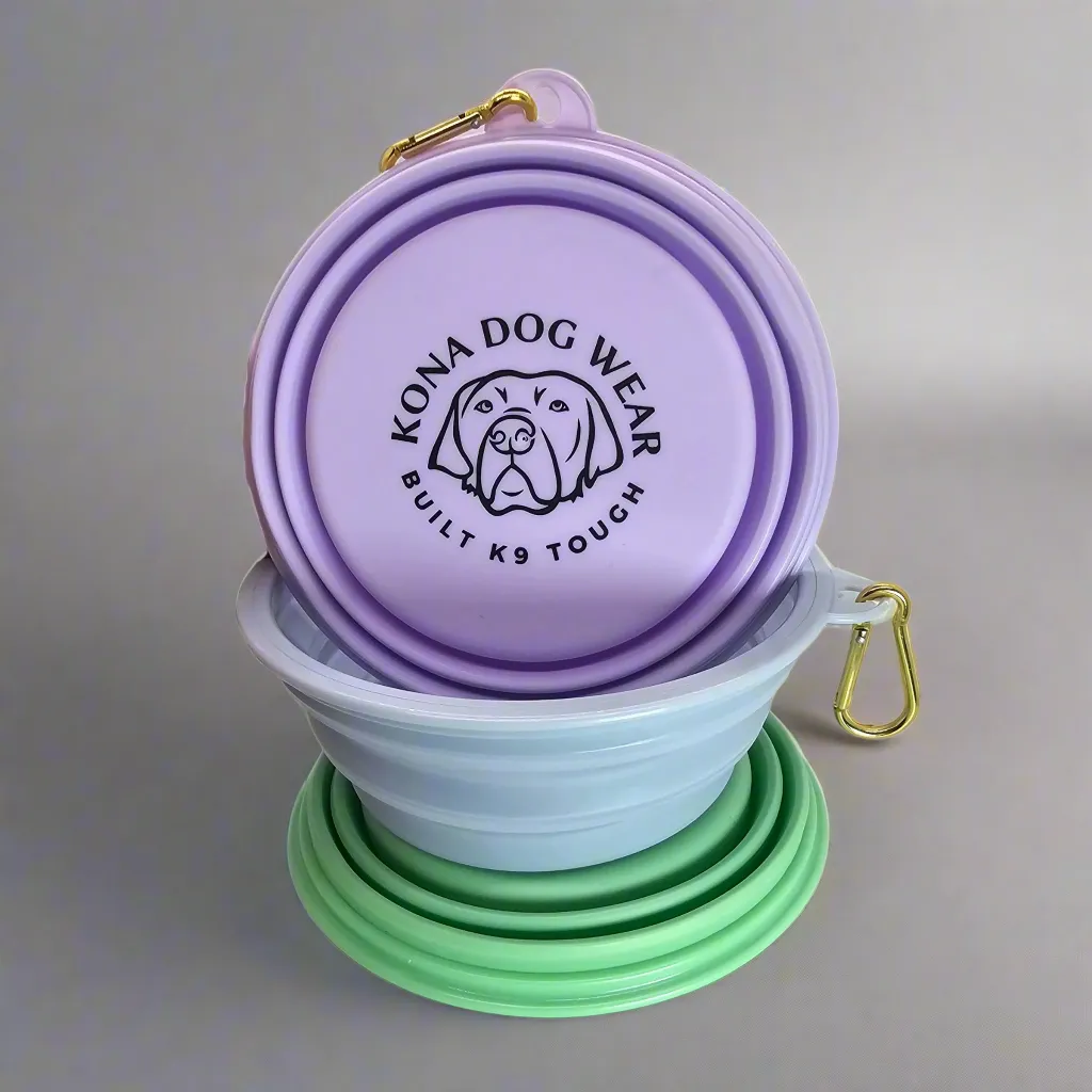 Collapsible Dog Bowl