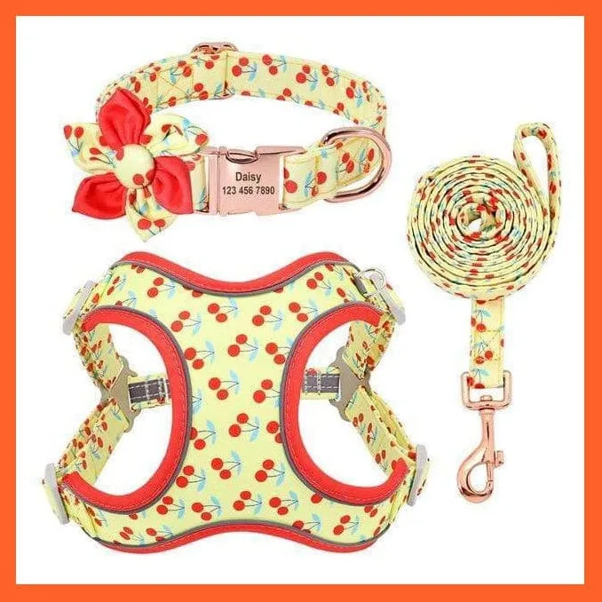 Custom Printed Dog Collar Leash Set | Personalized Pet Dog  Walking Leash