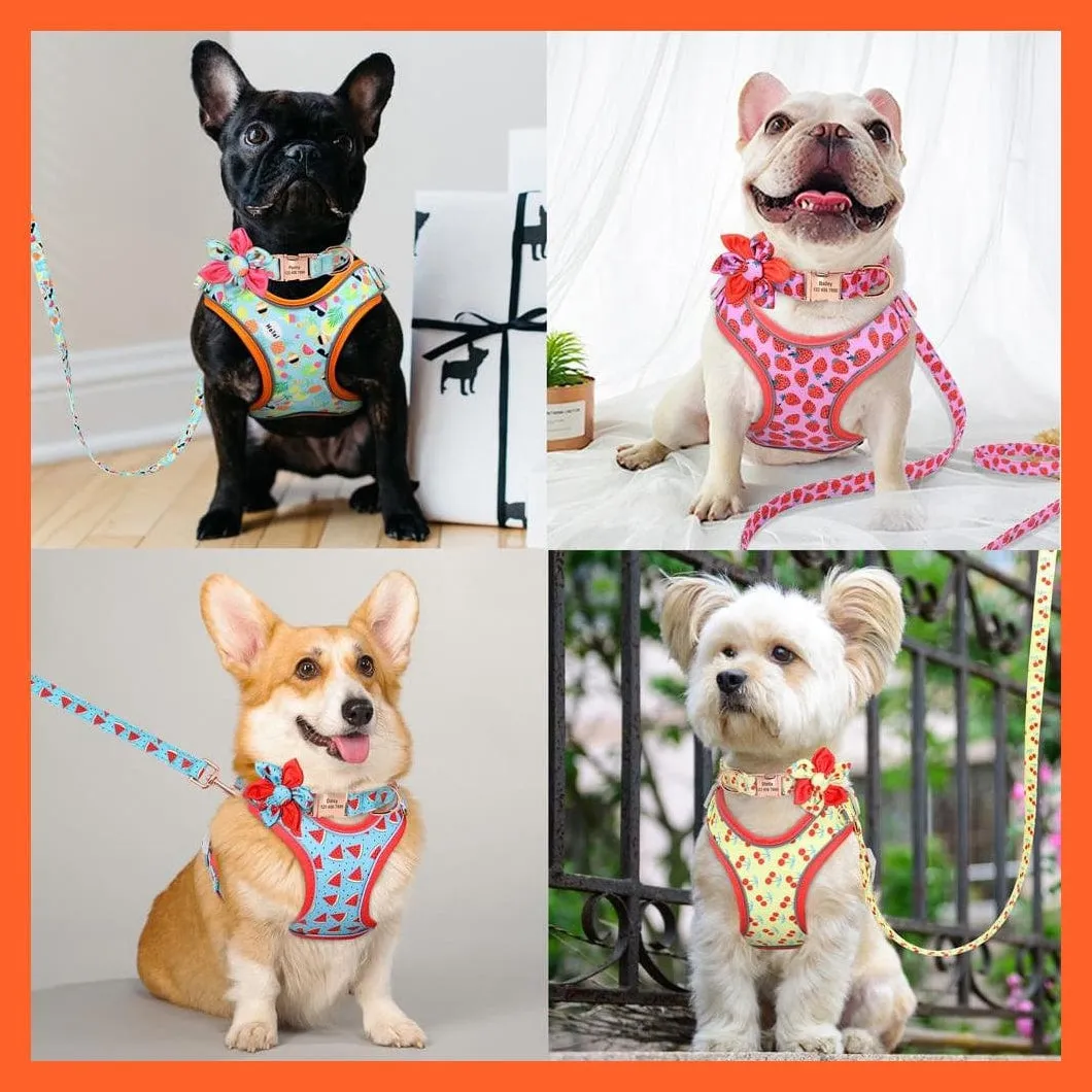 Custom Printed Dog Collar Leash Set | Personalized Pet Dog  Walking Leash