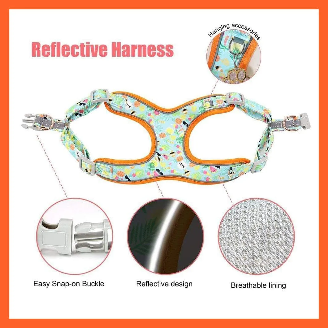 Custom Printed Dog Collar Leash Set | Personalized Pet Dog  Walking Leash