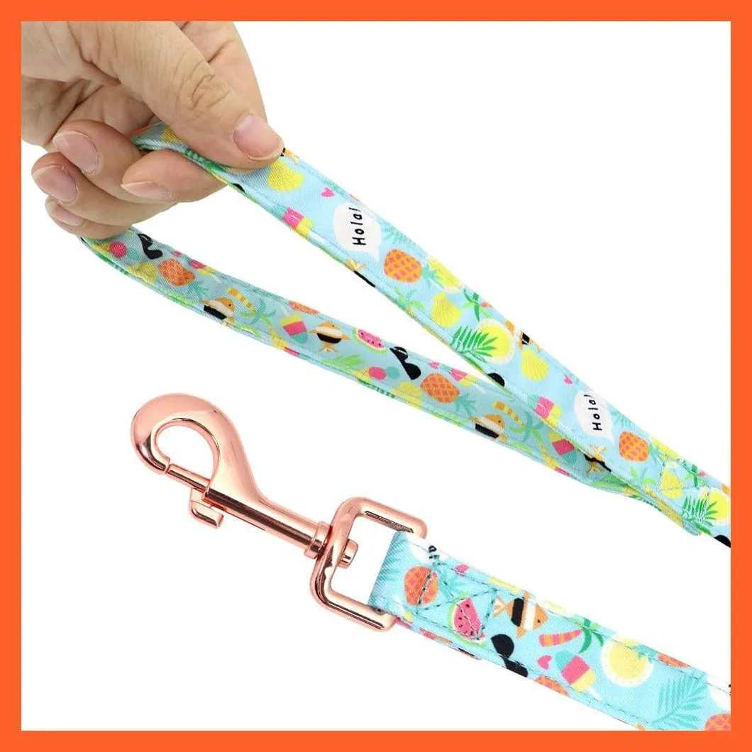 Custom Printed Dog Collar Leash Set | Personalized Pet Dog  Walking Leash