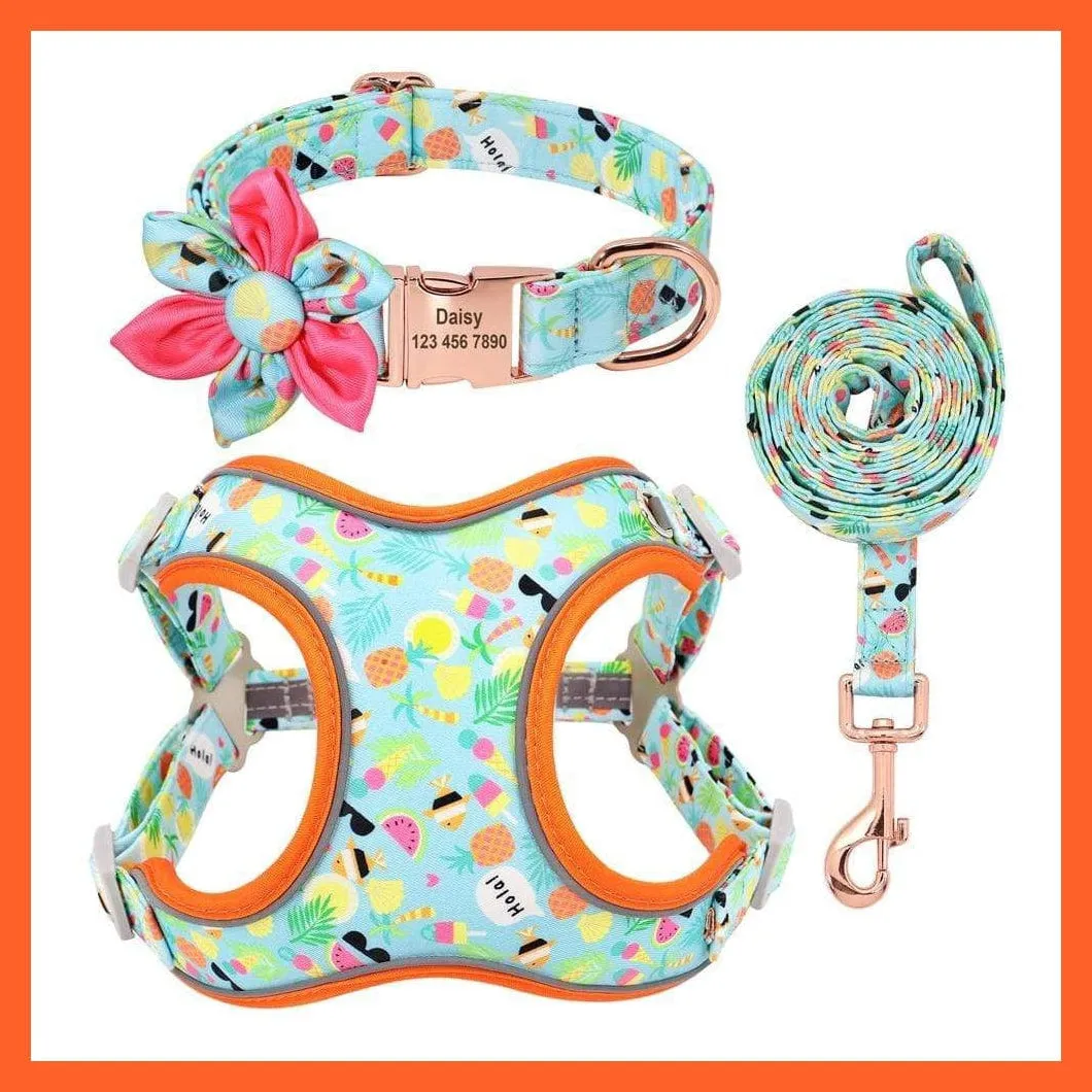Custom Printed Dog Collar Leash Set | Personalized Pet Dog  Walking Leash