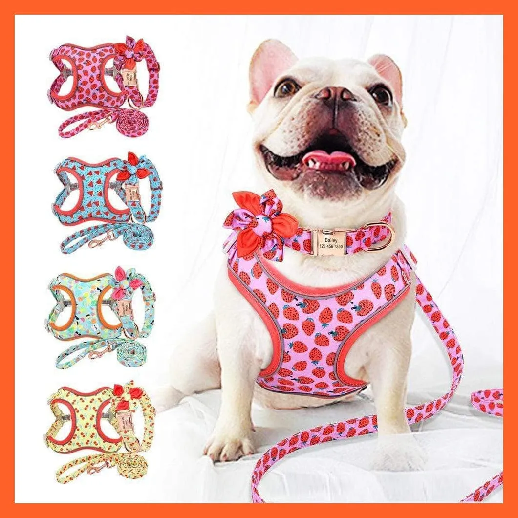 Custom Printed Dog Collar Leash Set | Personalized Pet Dog  Walking Leash