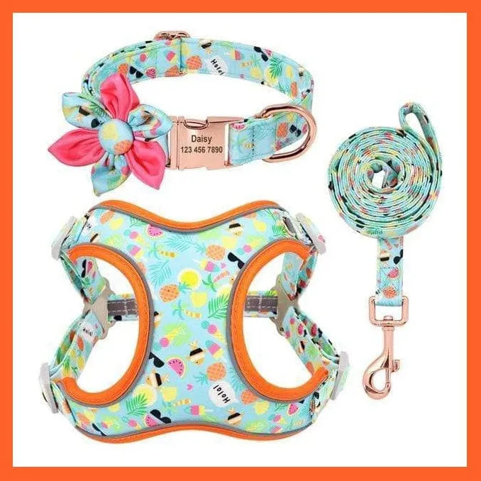 Custom Printed Dog Collar Leash Set | Personalized Pet Dog  Walking Leash
