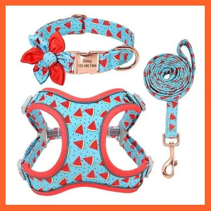 Custom Printed Dog Collar Leash Set | Personalized Pet Dog  Walking Leash