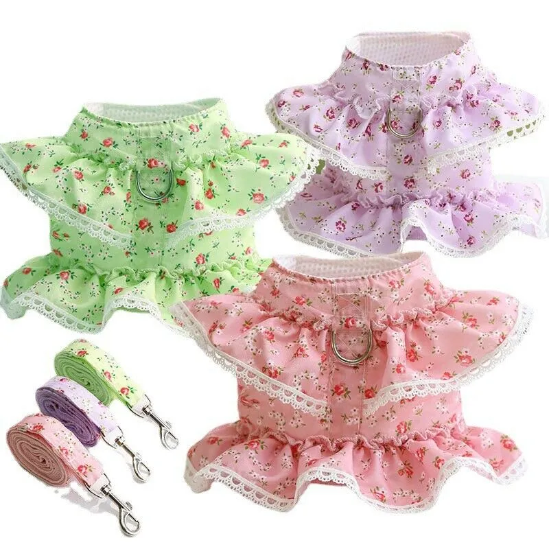 Cute Vest Harness And Leashes