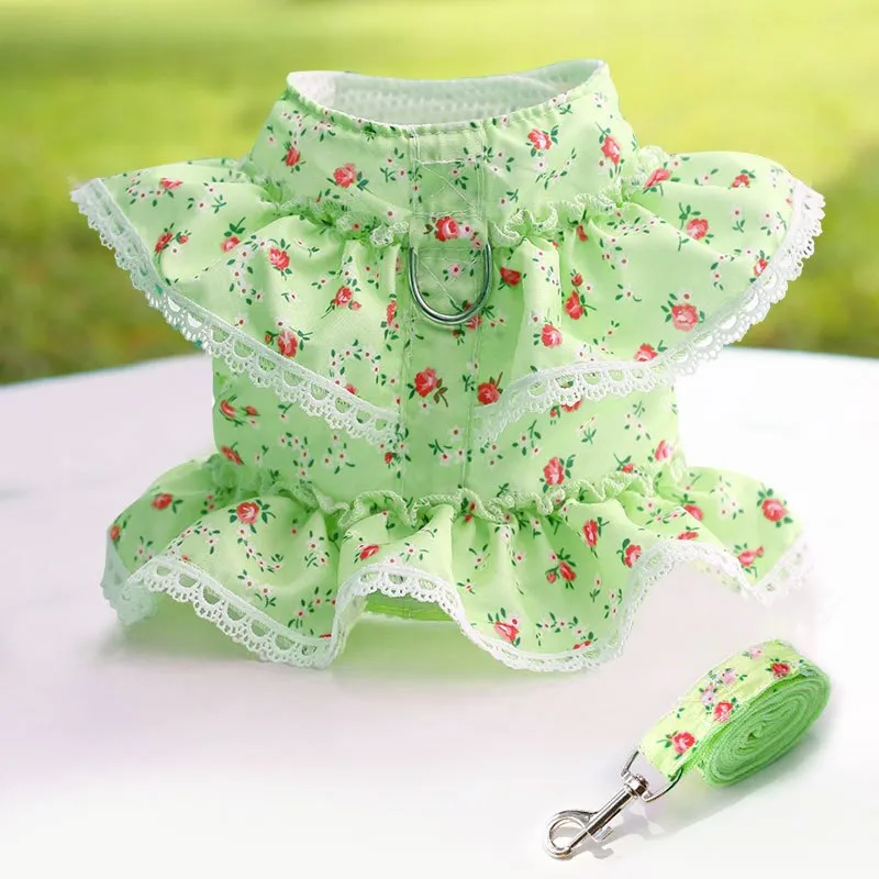 Cute Vest Harness And Leashes