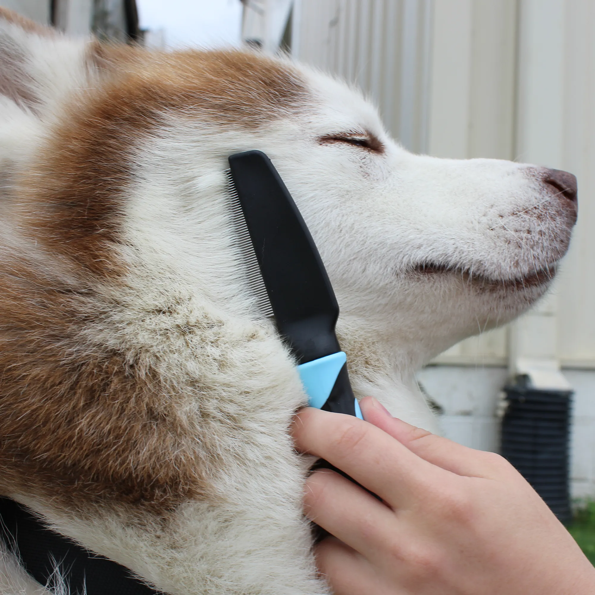 CuteNfuzzy Pet Flea Comb