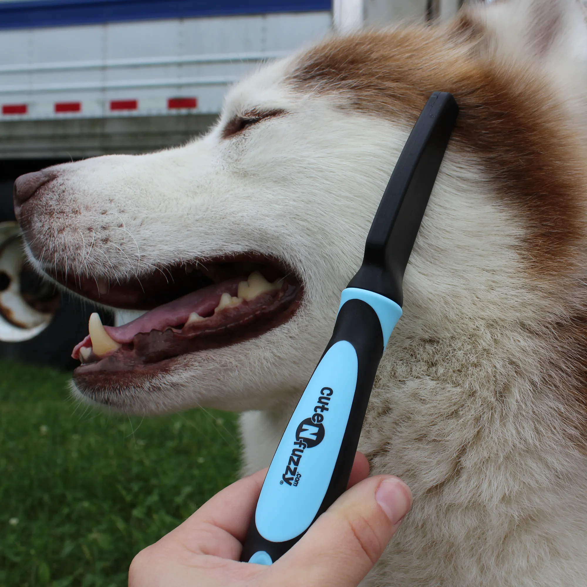 CuteNfuzzy Pet Flea Comb