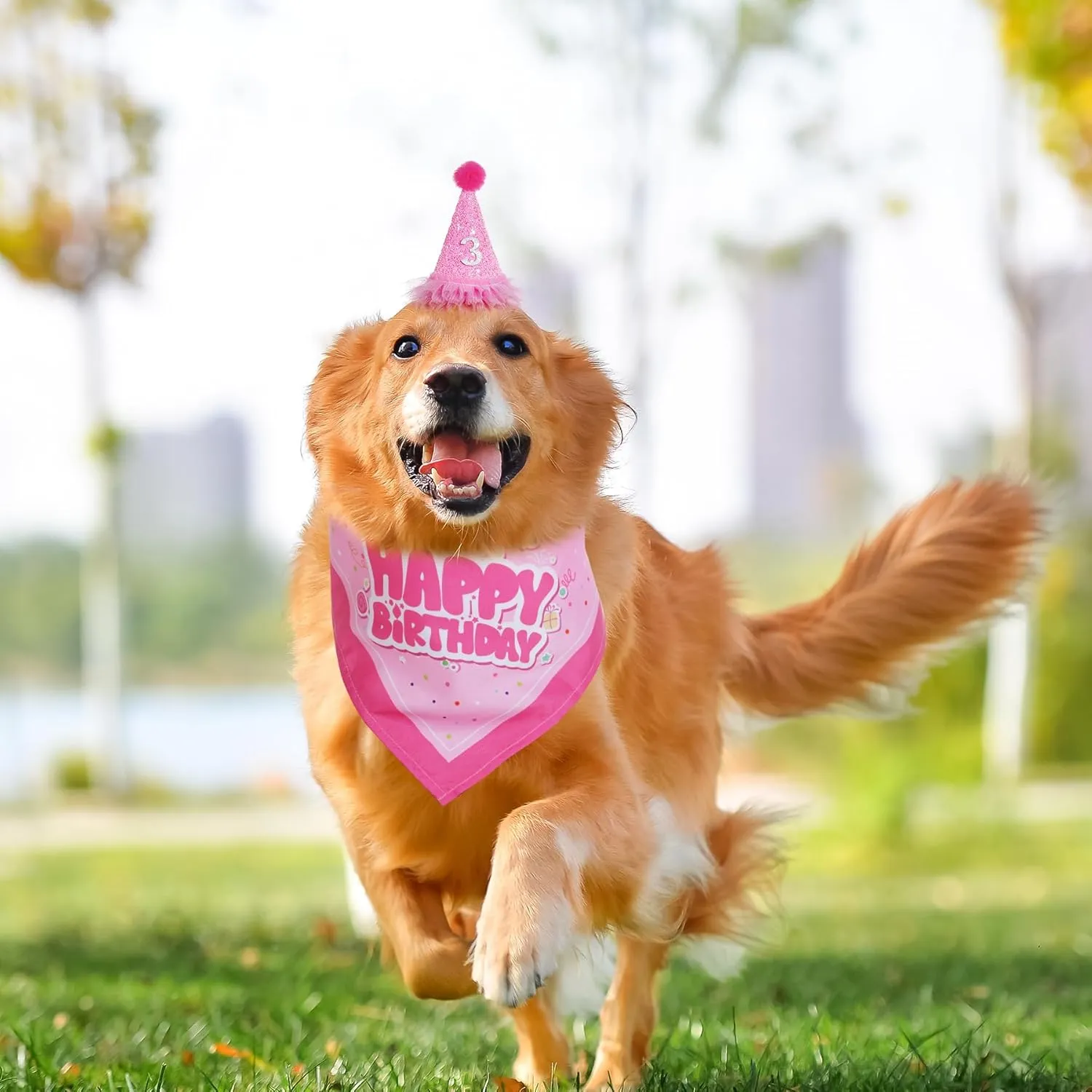 Dog Birthday Bandana Scarf and Hat with Number for Dog Birthday Party (Pink)
