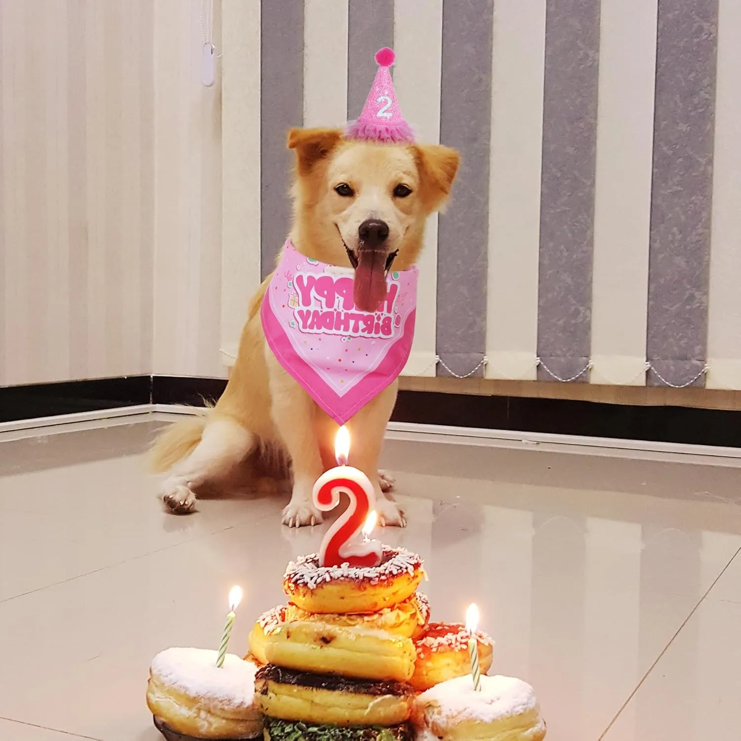 Dog Birthday Bandana Scarf and Hat with Number for Dog Birthday Party (Pink)