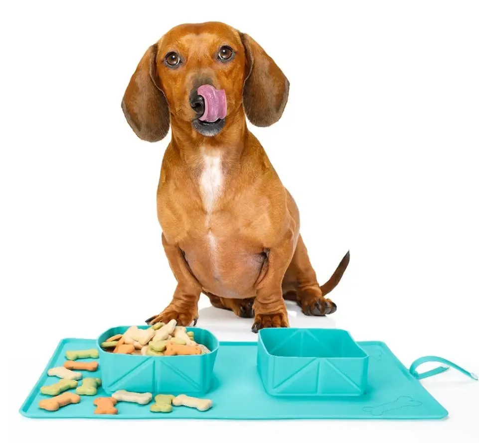 Dog Bowls Silicone Bowls