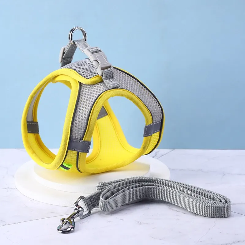 Dog Harness Vest With Leash For Small Dogs