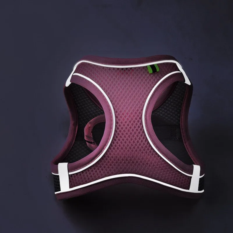 Dog Harness Vest With Leash For Small Dogs