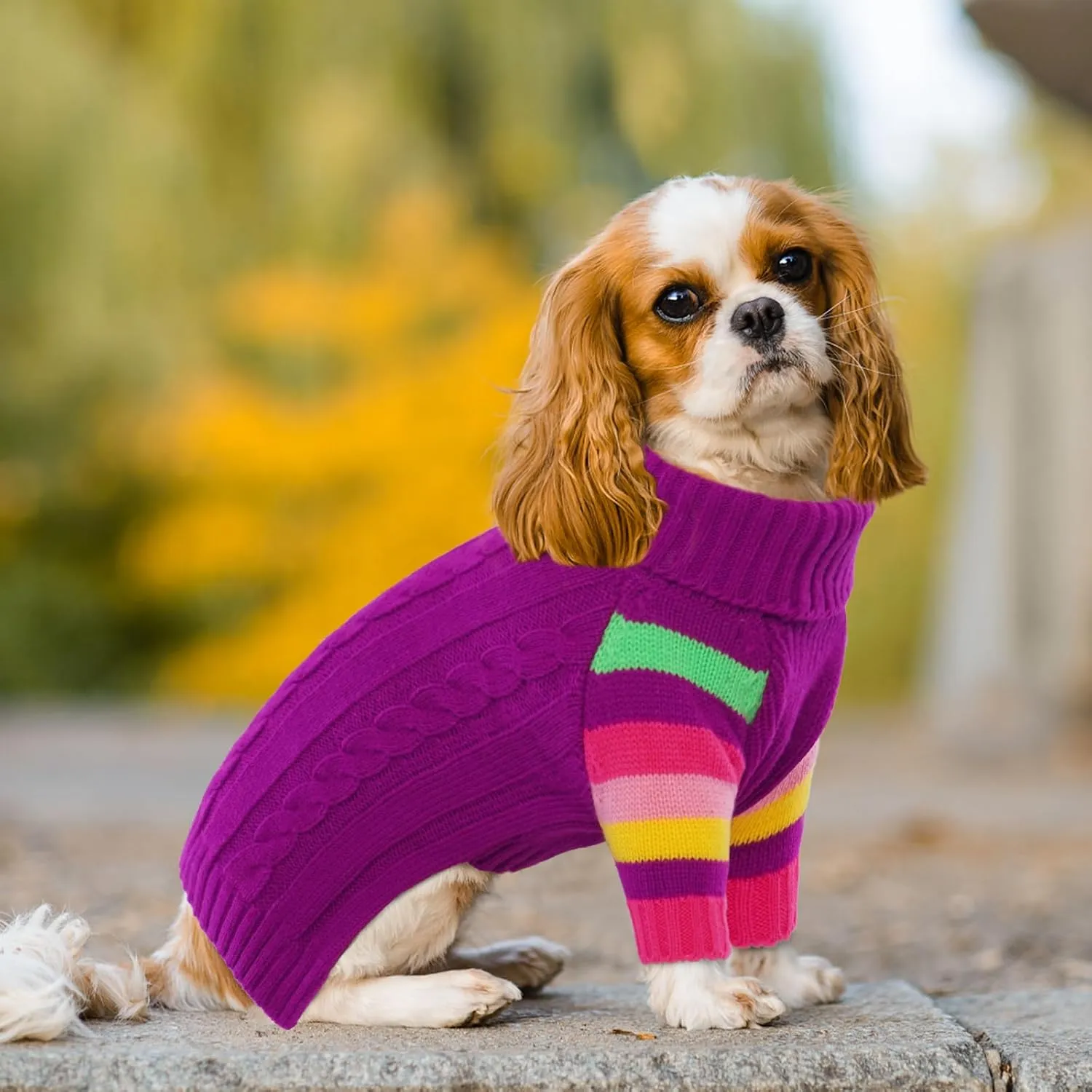 Dog Sweater Thick, Sweaters for Large Size Dogs Comfy, Stretchy Pullover Dog Sweater for Large Doggie, Christmas Dogs Sweaters Unisex, Warm Pet Knitwear Boston Terrier, Frenchie (Purple L)