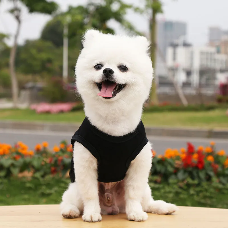 Dogs Pullover 100% Cotton Soft Puppy Cute Blank Clothes