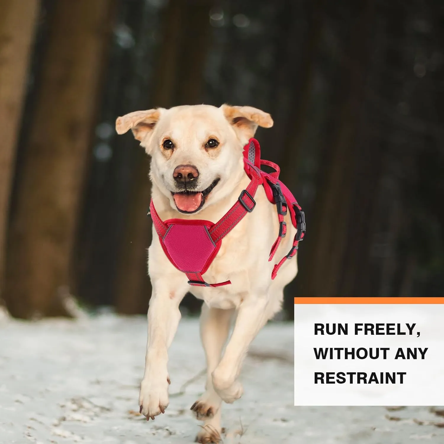 Escape Proof Large Dog Harness - Soft Padded, No Pull, Reflective with Handle, Six Point Adjustable, Includes Leash - Pink, M