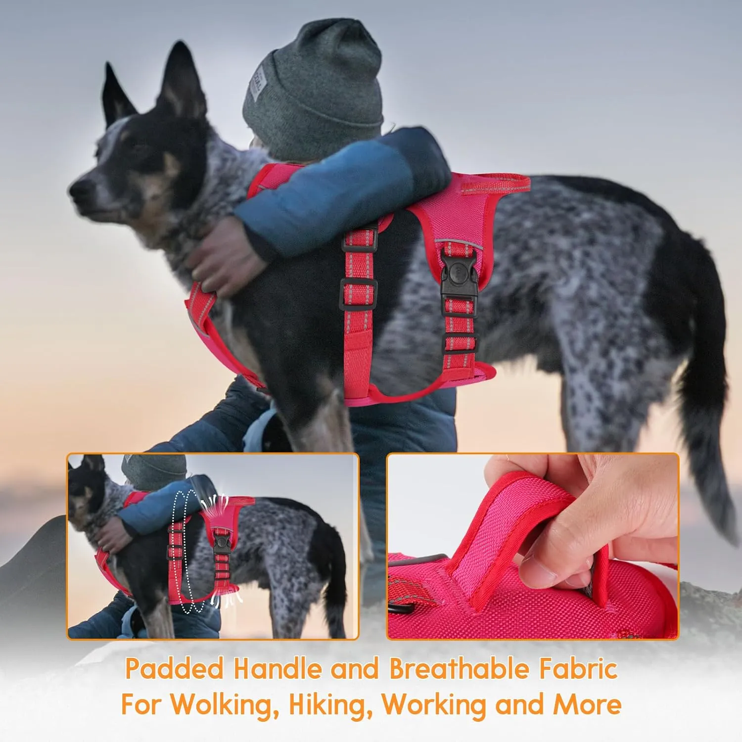Escape Proof Large Dog Harness - Soft Padded, No Pull, Reflective with Handle, Six Point Adjustable, Includes Leash - Pink, M