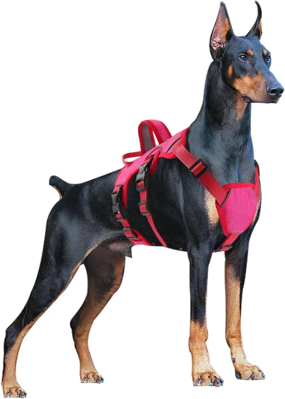 Escape Proof Large Dog Harness - Soft Padded, No Pull, Reflective with Handle, Six Point Adjustable, Includes Leash - Pink, M