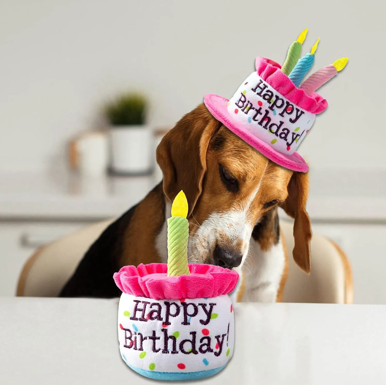 Extra Large Dog Cake Hat & Bandana Scarfs Set - Pink, Happy Birthday Hat with Candles, Large Dog Party Supplies