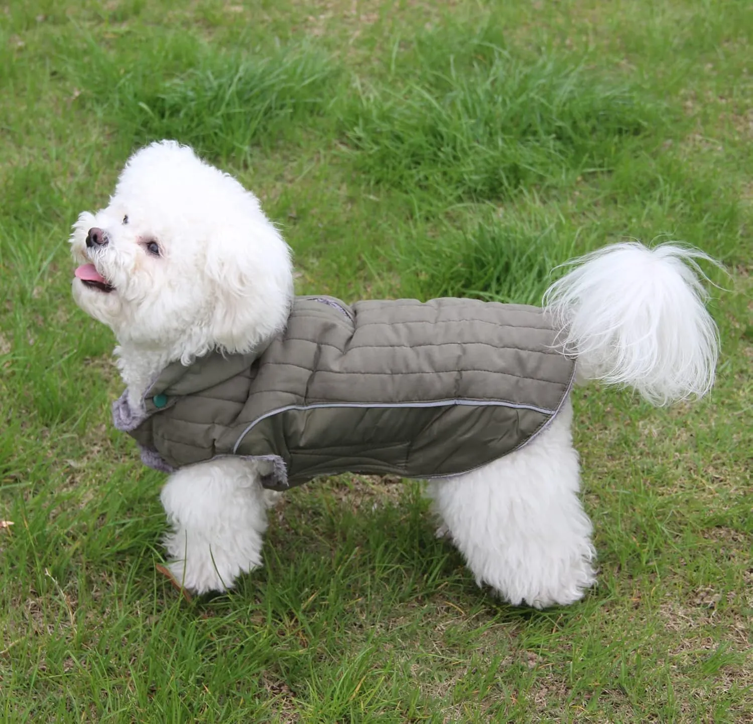 Fleece Dog Hoodie for Small Dogs Super Warm Puppy Jacket for Cold Winter Dog Coats,Green XS