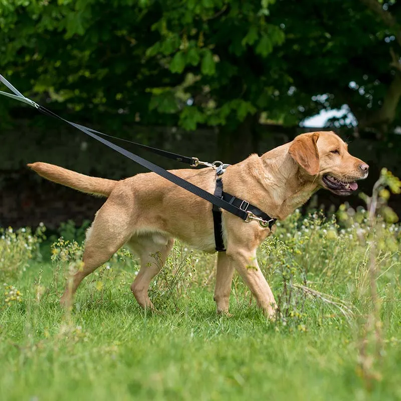 Freedom Harness, No-Pull Dog Harness: Multi-Use, Velvet Lining!