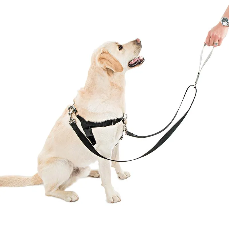 Freedom Harness, No-Pull Dog Harness: Multi-Use, Velvet Lining!