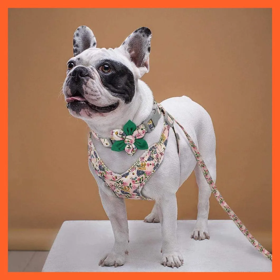 French Bulldog Harness Leash And Collar Set | Printed Dog Harness Vest Leash Collar Set | For Small Medium Large Dogs