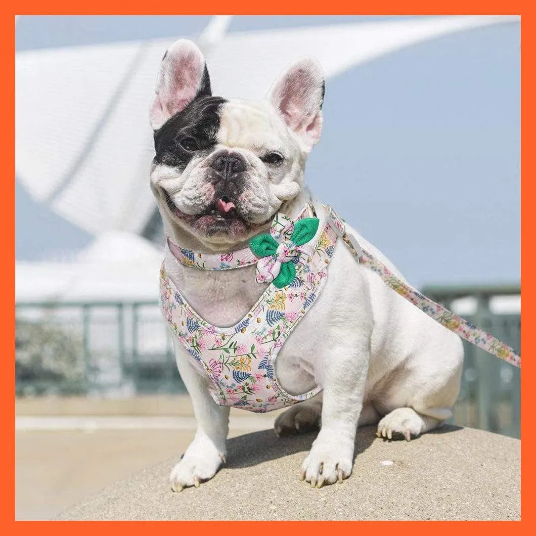 French Bulldog Harness Leash And Collar Set | Printed Dog Harness Vest Leash Collar Set | For Small Medium Large Dogs