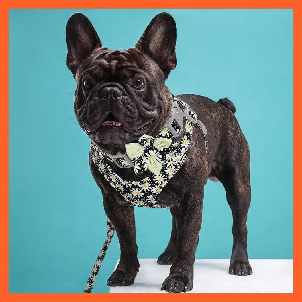 French Bulldog Harness Leash And Collar Set | Printed Dog Harness Vest Leash Collar Set | For Small Medium Large Dogs