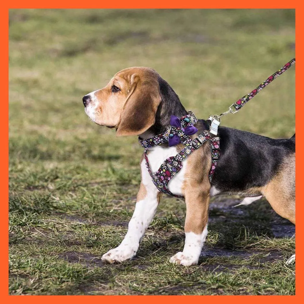 French Bulldog Harness Leash And Collar Set | Printed Dog Harness Vest Leash Collar Set | For Small Medium Large Dogs