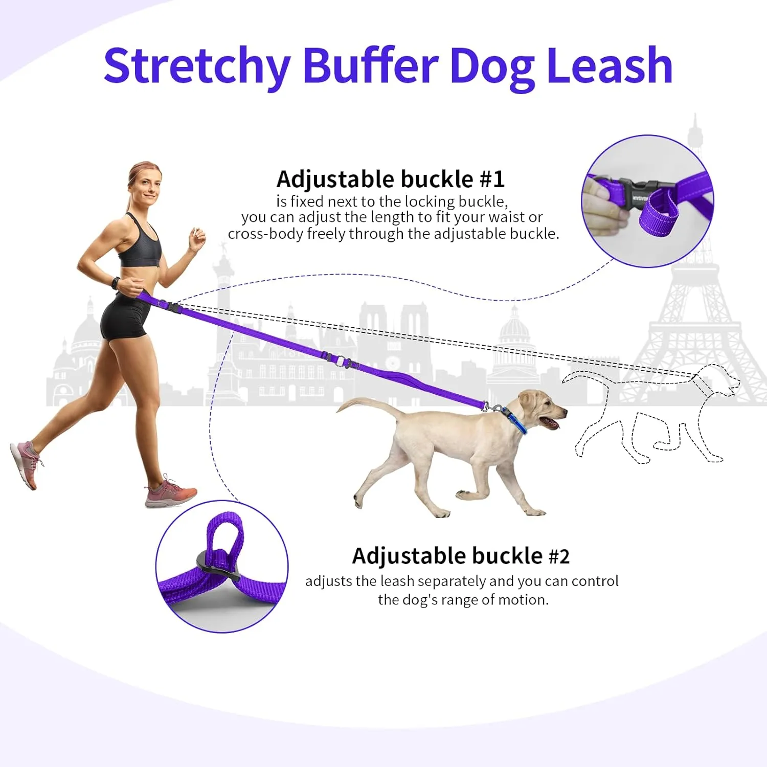 Hands-Free Dog Leash with Adjustable Length 6-9FT   Dual Padded Handles Reflective Safety for Night Walks | Suitable for Medium to Large Dogs & Puppies Purple-L