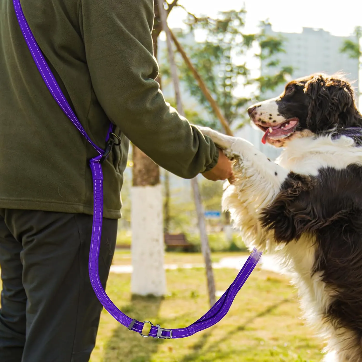 Hands-Free Dog Leash with Adjustable Length 6-9FT   Dual Padded Handles Reflective Safety for Night Walks | Suitable for Medium to Large Dogs & Puppies Purple-L