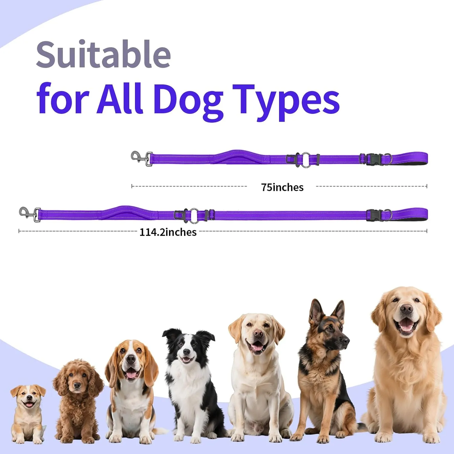 Hands-Free Dog Leash with Adjustable Length 6-9FT   Dual Padded Handles Reflective Safety for Night Walks | Suitable for Medium to Large Dogs & Puppies Purple-L